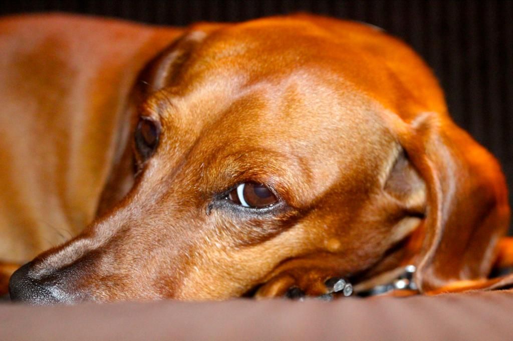 IMAGE: http://i858.photobucket.com/albums/ab146/djr01974/IMG_3092.jpg