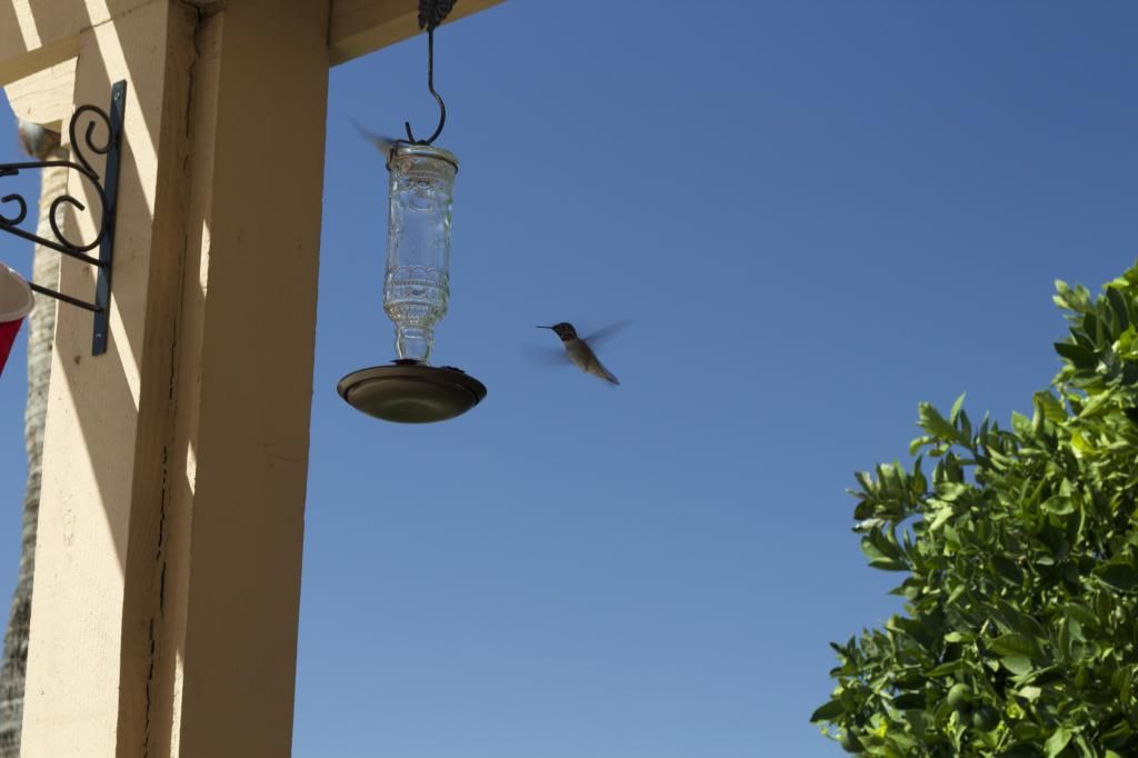 IMAGE: http://i858.photobucket.com/albums/ab146/djr01974/IMG_3836.jpg