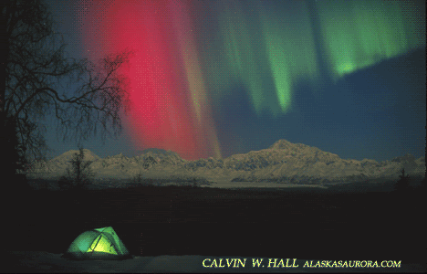 aurora borealis photo: AURORA 5 CALVINSAURORACLIP.gif