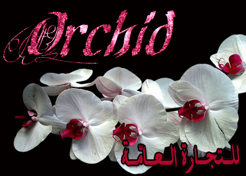 العامّـة Orchid للتجارة
