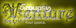 Loreship Venture Co. banner